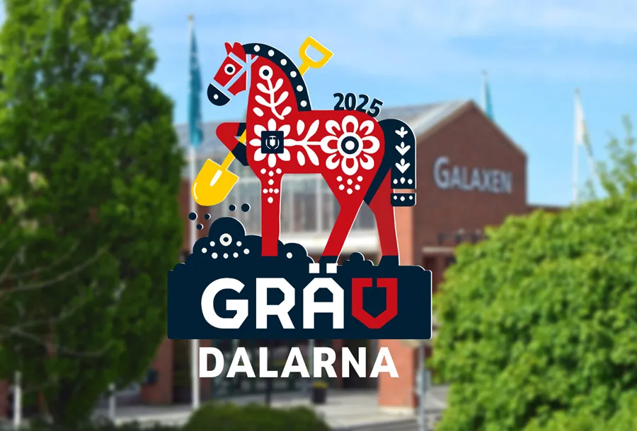 dalarna gräv