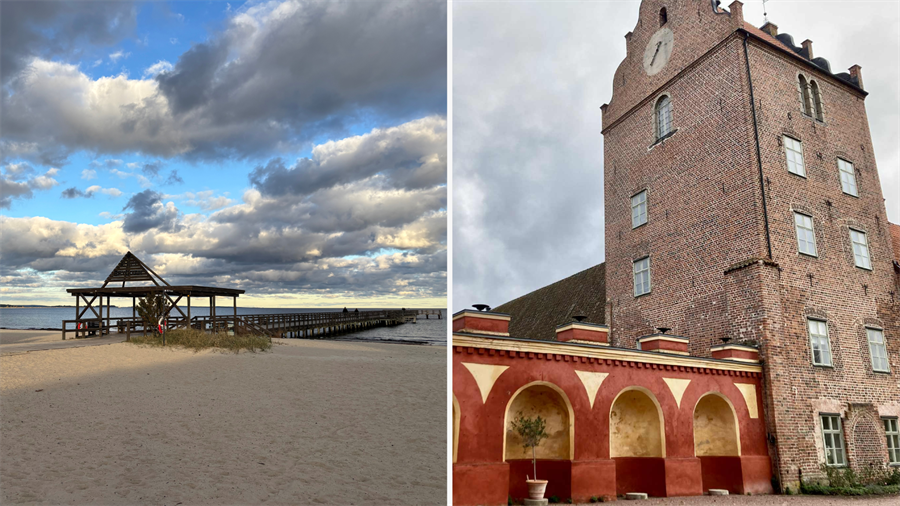 brandcam-2026-01-15-08-22-50